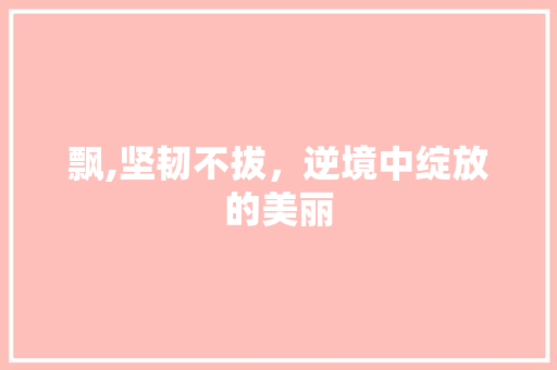 飘,坚韧不拔，逆境中绽放的美丽