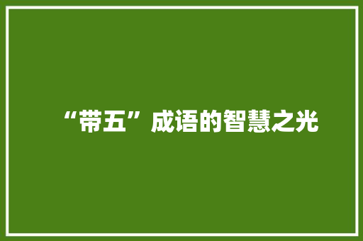 “带五”成语的智慧之光 短语