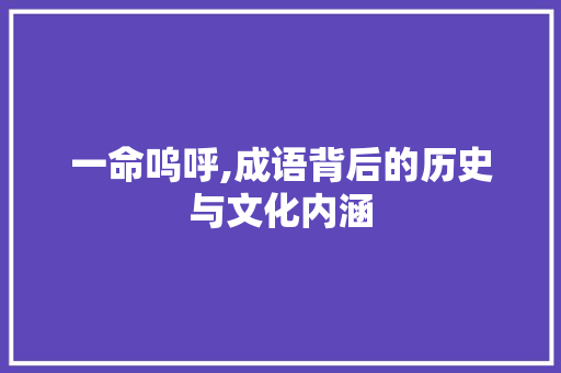 一命呜呼,成语背后的历史与文化内涵