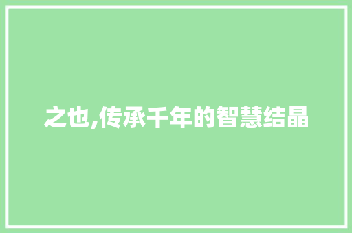 之也,传承千年的智慧结晶 问答