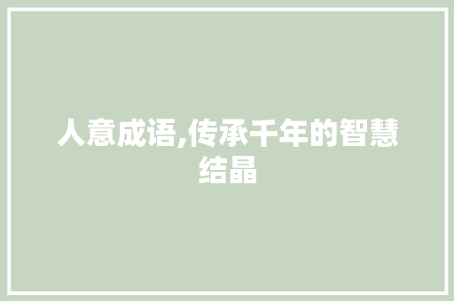 人意成语,传承千年的智慧结晶 汉字拼音