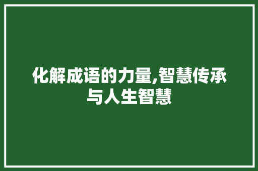 化解成语的力量,智慧传承与人生智慧 英语单词