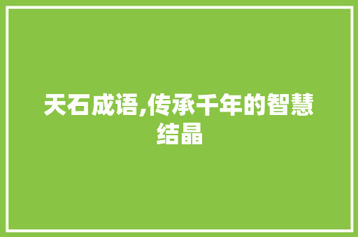 天石成语,传承千年的智慧结晶