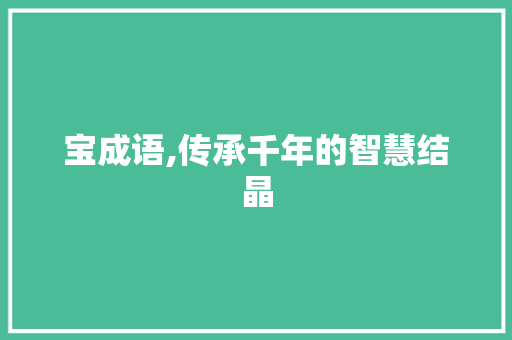 宝成语,传承千年的智慧结晶 古代典籍