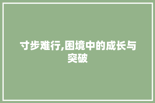 寸步难行,困境中的成长与突破
