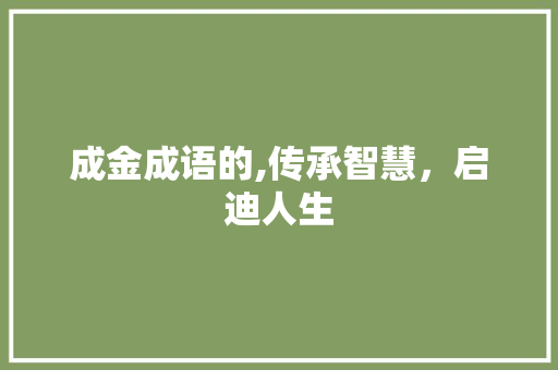 成金成语的,传承智慧，启迪人生
