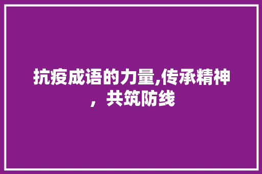 抗疫成语的力量,传承精神，共筑防线