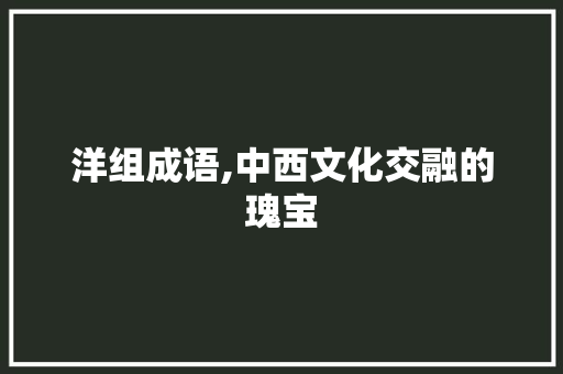 洋组成语,中西文化交融的瑰宝