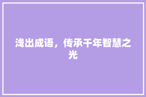 浅出成语，传承千年智慧之光