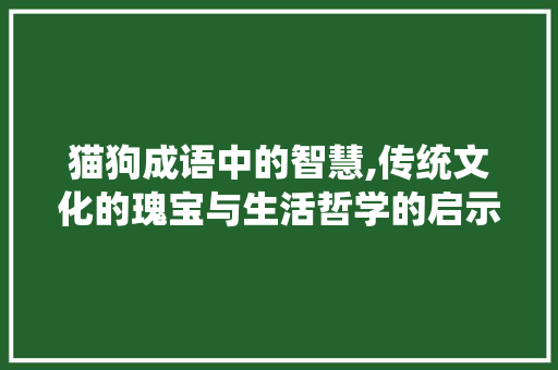 猫狗成语中的智慧,传统文化的瑰宝与生活哲学的启示