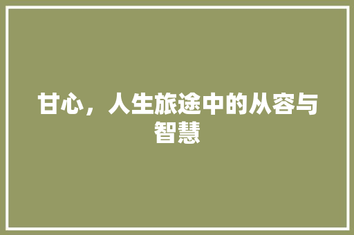 甘心，人生旅途中的从容与智慧