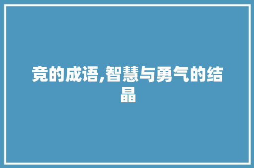 竞的成语,智慧与勇气的结晶