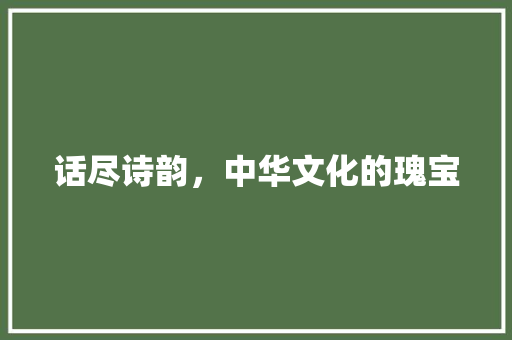 话尽诗韵，中华文化的瑰宝
