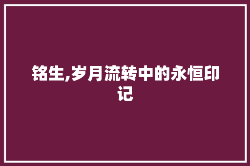 铭生,岁月流转中的永恒印记