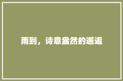 雨到，诗意盎然的邂逅 古代典籍