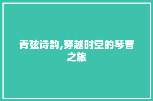 青弦诗韵,穿越时空的琴音之旅
