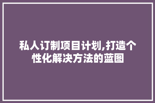 私人订制项目计划,打造个性化解决方法的蓝图