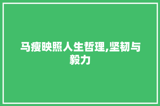马瘦映照人生哲理,坚韧与毅力 问答