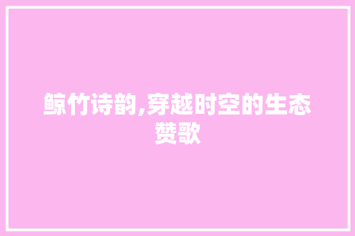 鲸竹诗韵,穿越时空的生态赞歌