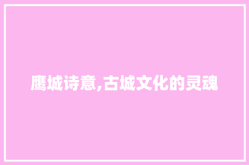 鹰城诗意,古城文化的灵魂