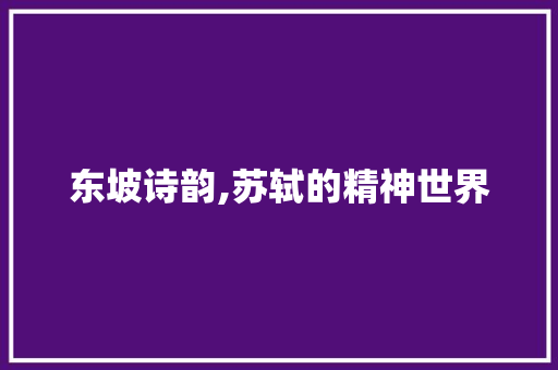 东坡诗韵,苏轼的精神世界