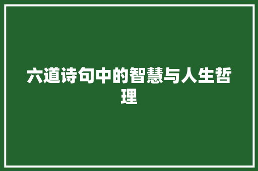 六道诗句中的智慧与人生哲理 问答