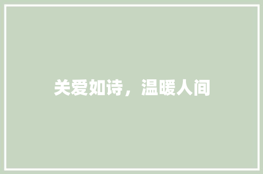关爱如诗，温暖人间