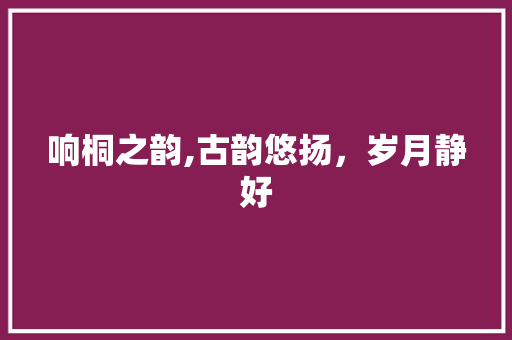 响桐之韵,古韵悠扬，岁月静好