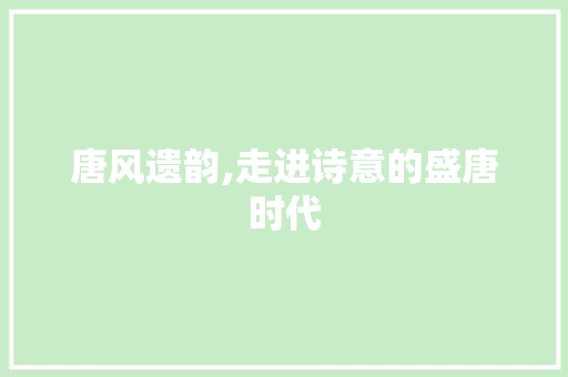 唐风遗韵,走进诗意的盛唐时代