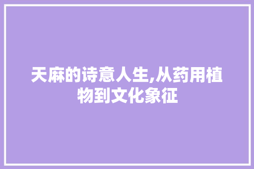 天麻的诗意人生,从药用植物到文化象征