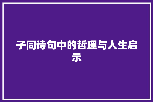 子同诗句中的哲理与人生启示