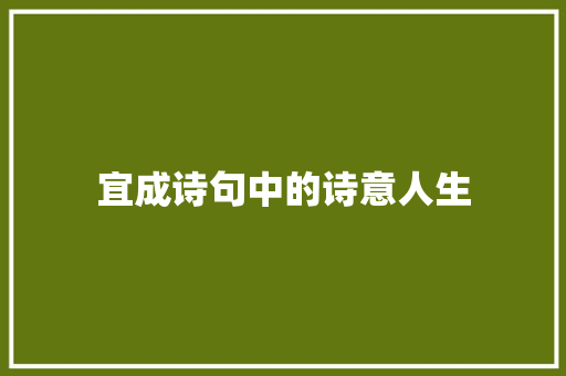 宜成诗句中的诗意人生