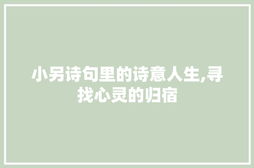 小另诗句里的诗意人生,寻找心灵的归宿