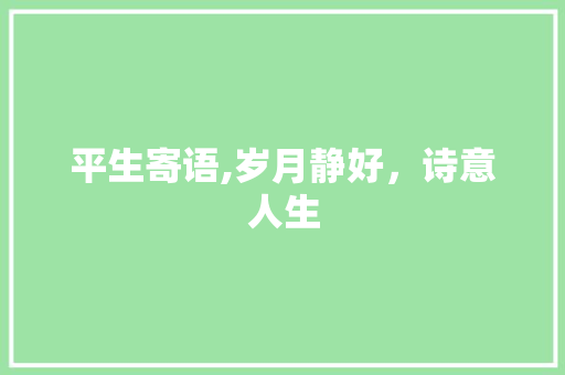 平生寄语,岁月静好，诗意人生 汉字拼音
