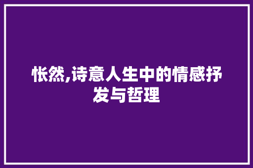 怅然,诗意人生中的情感抒发与哲理 问答