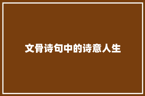 文骨诗句中的诗意人生