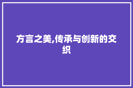 方言之美,传承与创新的交织