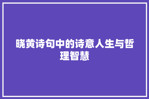 晓黄诗句中的诗意人生与哲理智慧 近义词汇
