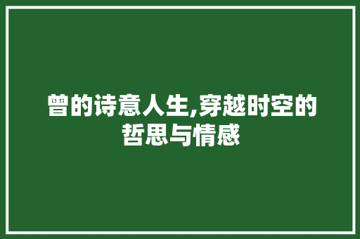 曾的诗意人生,穿越时空的哲思与情感