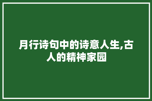 月行诗句中的诗意人生,古人的精神家园