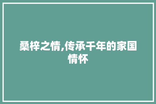 桑梓之情,传承千年的家国情怀