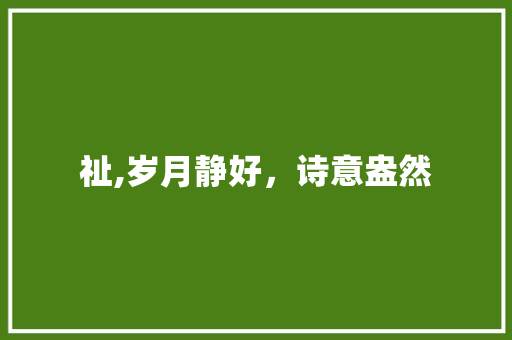 祉,岁月静好，诗意盎然 问答