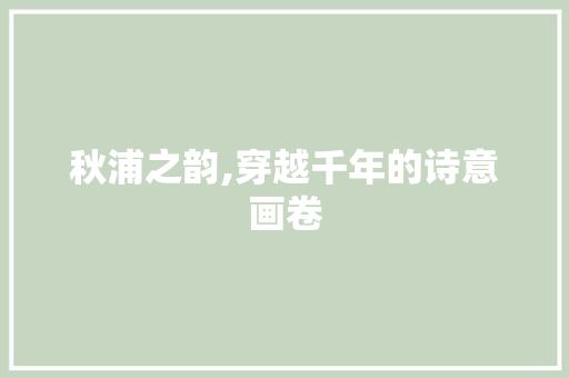 秋浦之韵,穿越千年的诗意画卷 反义词汇