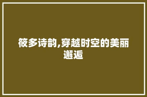筱多诗韵,穿越时空的美丽邂逅