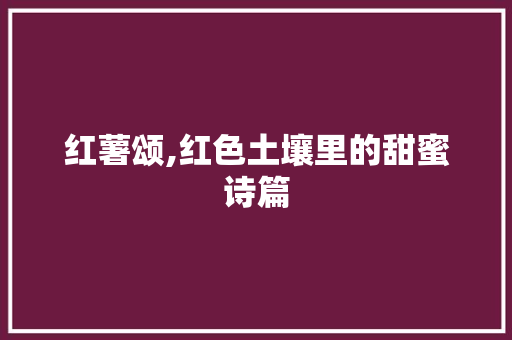 红薯颂,红色土壤里的甜蜜诗篇