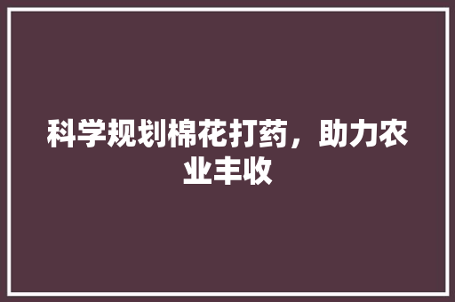 科学规划棉花打药，助力农业丰收