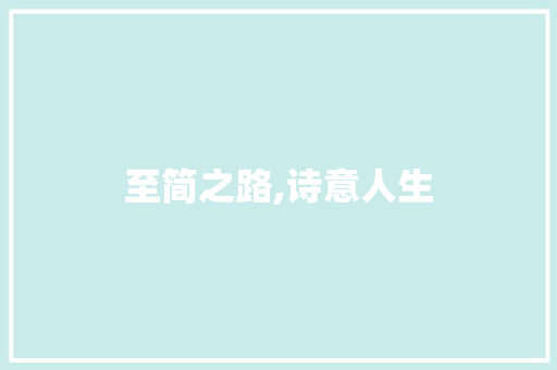至简之路,诗意人生