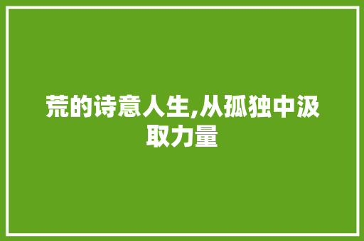 荒的诗意人生,从孤独中汲取力量
