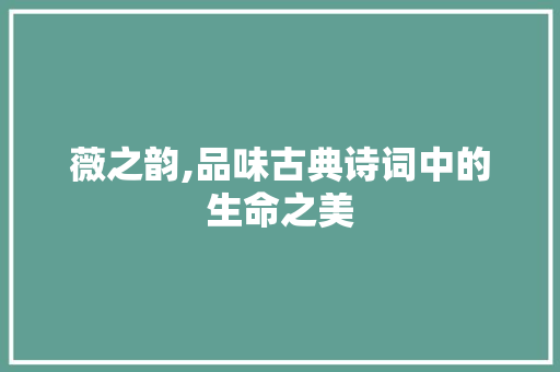 薇之韵,品味古典诗词中的生命之美