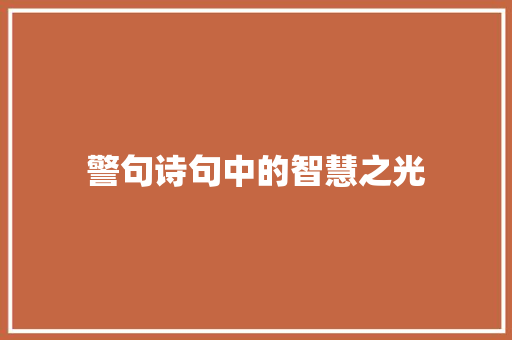 警句诗句中的智慧之光